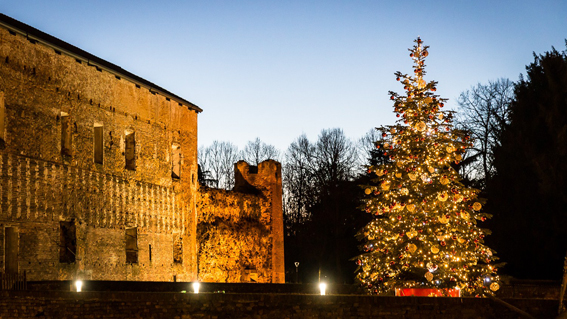 "Luci sul Natale": la città sarà vestita a festa