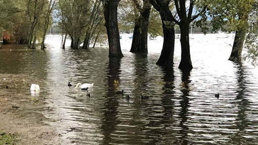 Torna a salire il livello del lago: situazione costantemente monitorata