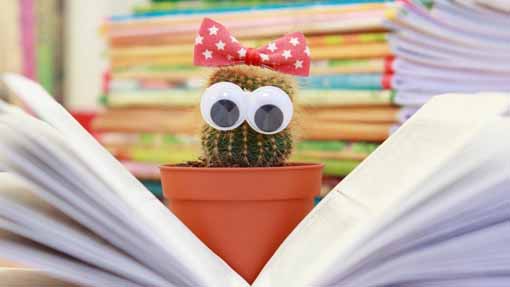 Tante iniziative con "Nati per leggere" a Borgo Ticino