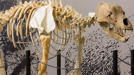Giornata di studi al Museo "Carlo Conti" di Borgosesia