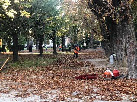 Detenuti al lavoro sull'Allea San Luca