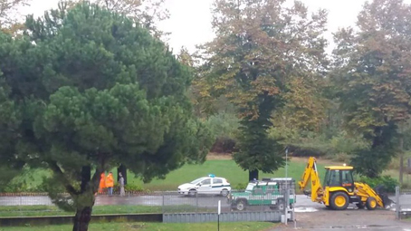 Maltempo: grosso ramo di tiglio caduto in strada ad Oleggio