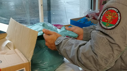 Sequestrati 30mila sacchetti di plastica non conformi: due sanzioni da 5mila euro
