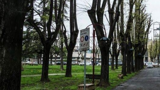 Via libera della giunta all'intitolazione di un'area "Giardino dei Giusti"