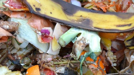"Giornata contro lo spreco alimentare": le iniziative di Nova Coop