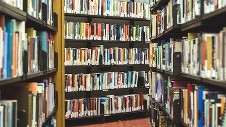 La rete del Bant è stata riconosciuta come sistema  bibliotecario
