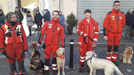Tanti animali alla benedizione per Sant'Antonio a Castelletto Ticino. Fotogallery