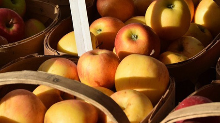 Trecate: sabato primo appuntamento del 2019 con l'agrimercato