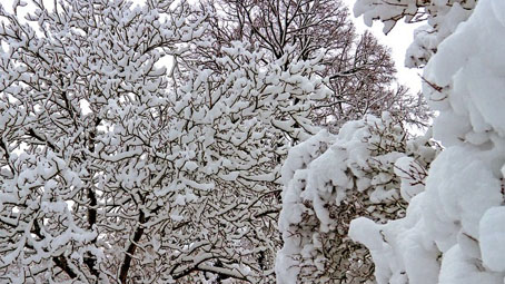 Meteo: dall'Arpa allerta gialla per le nevicate in pianura