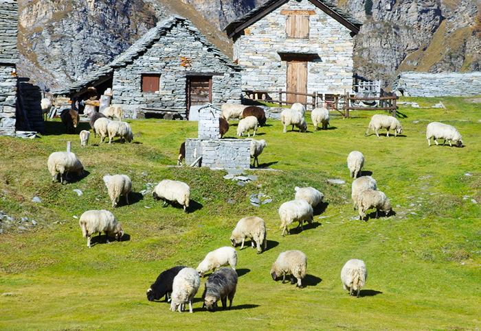 Turismo in montagna: estate con aumento medio del 25% sul 2013