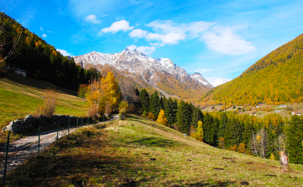 Ferragosto nel Parco Val Grande: ecco tutte le iniziative