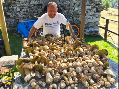 Spuntan come funghi!