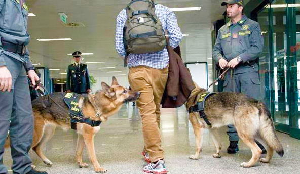 Fermato in stazione a Domo un pericoloso narcotrafficante