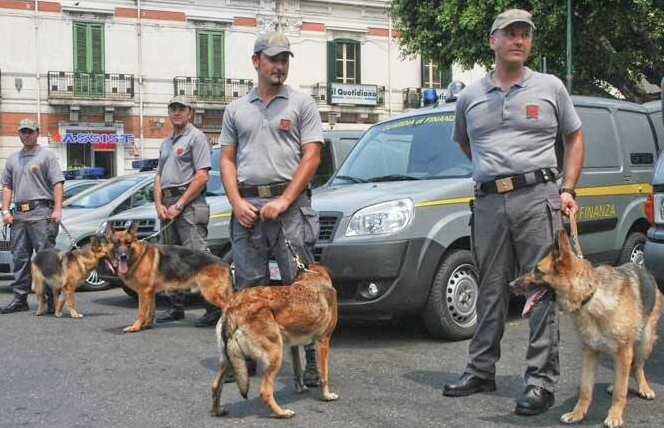    Traffico attraverso il Sempione anche di sostanze dopanti. La Gdf sequestra 182 farmaci anabolizzanti