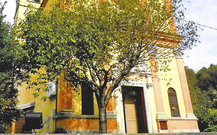 Calice, festa di quartiere  e tradizionale “Giro dei Presepi” 