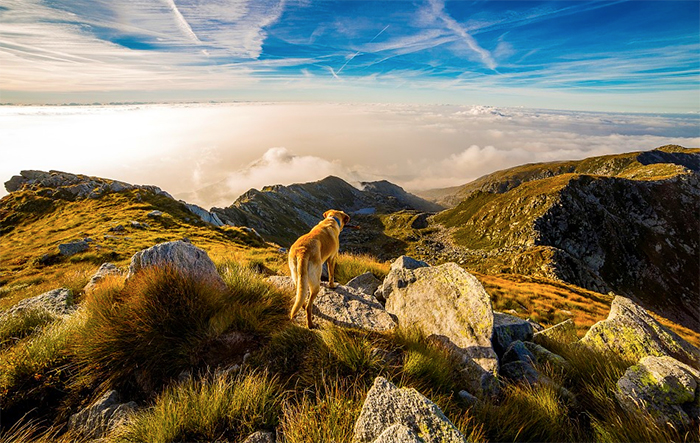 Premiazioni del concorso fotografico del Parco Val Grande, e mostra delle foto a Malesco