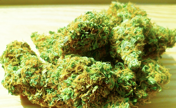 Albanese 23enne arrestato a Domo con un chilo di marijuana