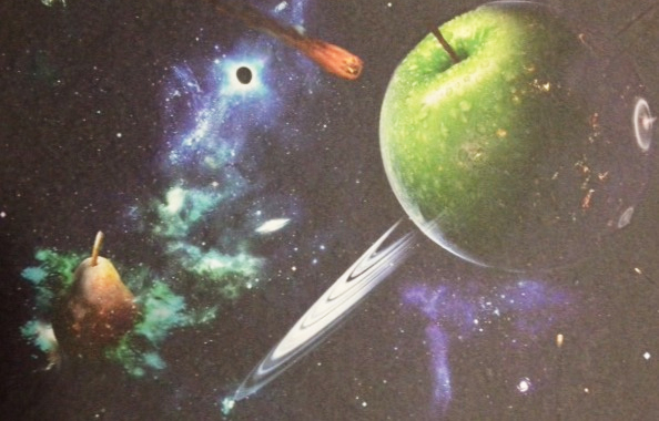“Dell’ arte di nutrirsi”. Gli studenti dell'artistico Gobetti all'Expo