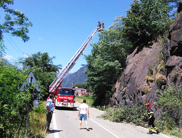 Intervento urgente dei Vigili del Fuoco per piante pericolanti