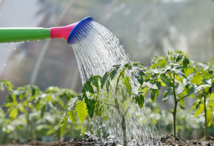 Dagnente ancora a secco. Acqua contingentata a giorni alterni e fasce orarie