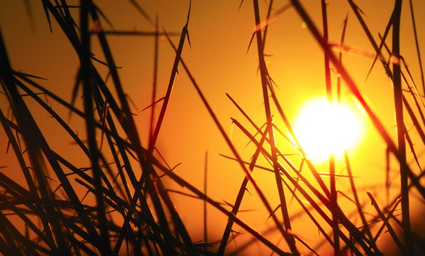Colpo di calore. Una minorenne si sente male ad Ornavasso, interviene il Soccorso