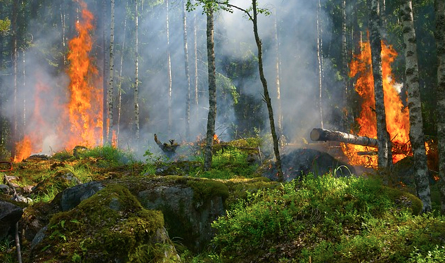 Due incendi in poche ore, Valgrande osservata speciale