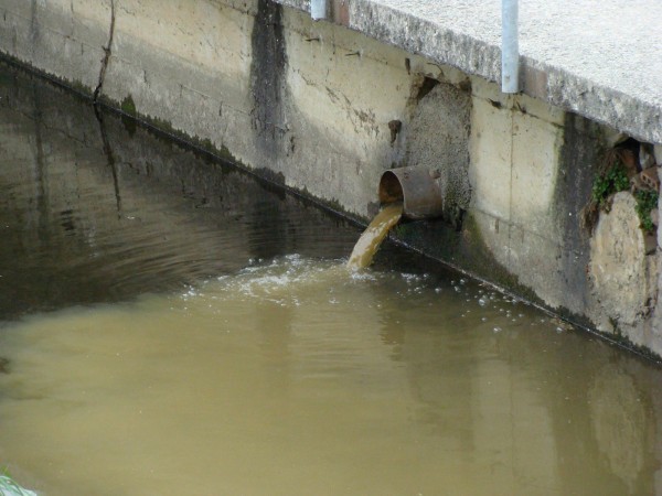 Acqua di fogna nel lago