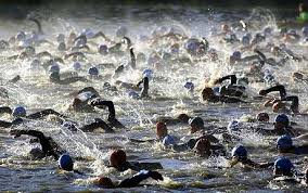 Gara di nuoto attorno alle Isole Borromee