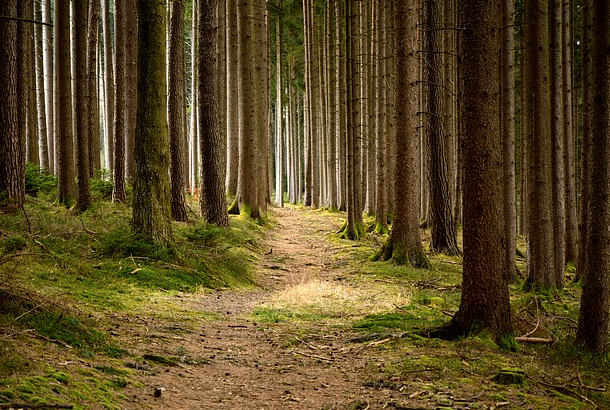 Avviso di pericolo su un sentiero in Val Grande