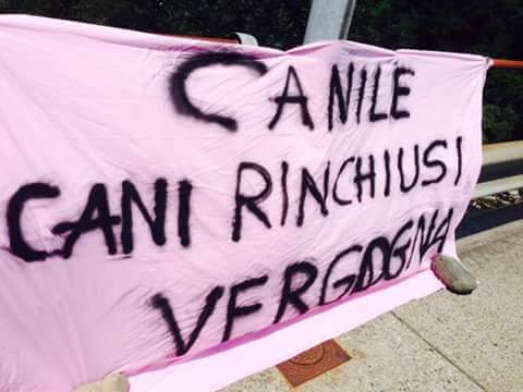 Canile, il giorno dopo la polemica: esposti e denunce
