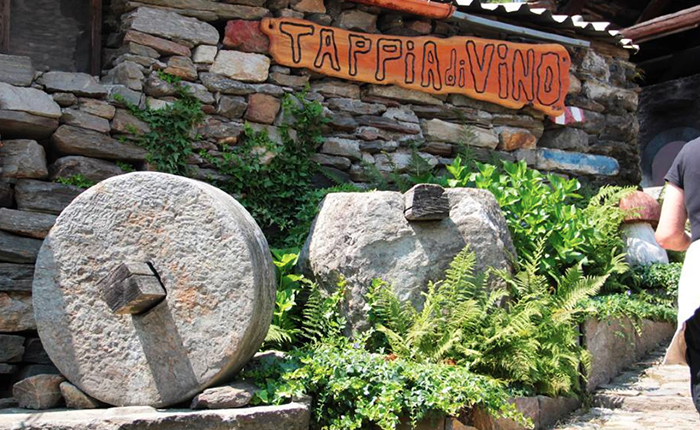 Nove edizioni per “Tappia di Vino”. Fotogallery