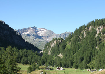 Il Parco Veglia- Devero mette all'asta le auto usate