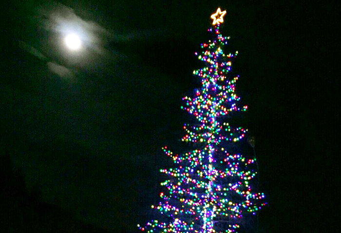 A San Domenico un albero di Natale da 30 metri visibile da tutta la valle