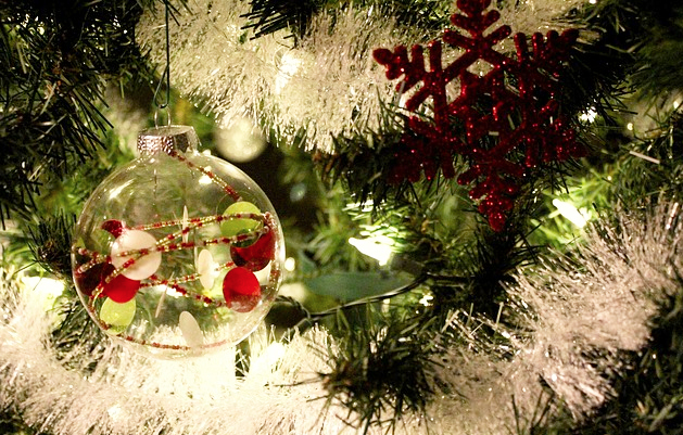 Musica e parole di Natale in Collegiata grazie all'Anpi domese