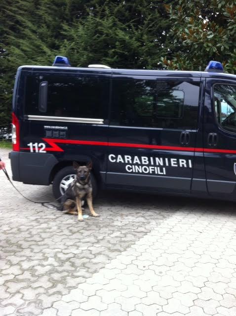 Cani antidroga nelle scuole