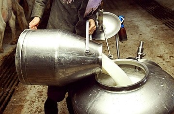 Dalla fiera del Mottarone l'allarme degli allevatori: "tutelate il latte nostrano"