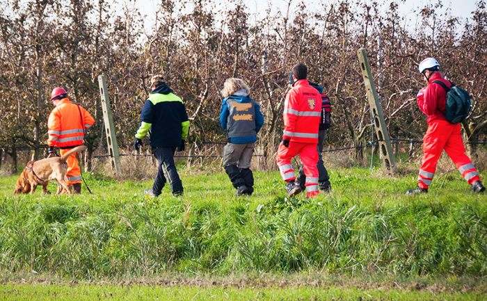 Sfinito ed impaurito, fungiatt disperso tra i boschi in Vigezzo allerta i soccorsi