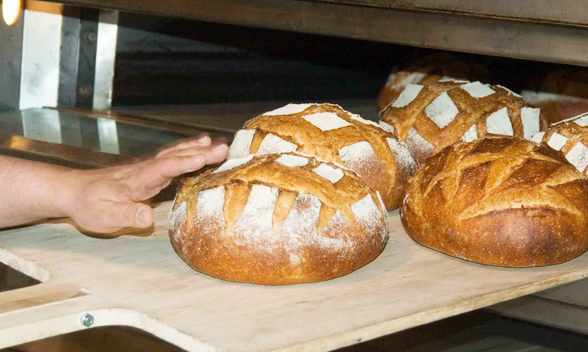 Rileva attrezzature per una panetteria, ci ripensa e ne restituisce una parte. Denunciato