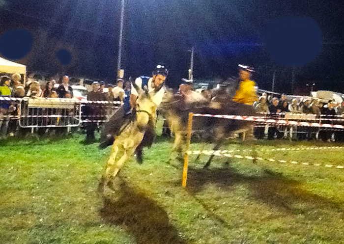 Festa dell'Uva di Masera, gran finale col palio degli asini, vince Frazione Paletta Casa Benvenuta