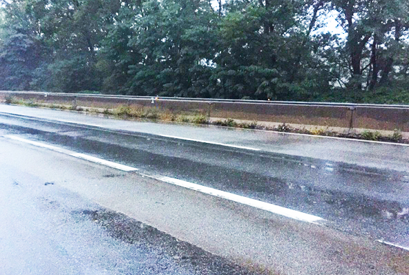 Sartoretti ( Confcommercio): “Piante, rami, buche, pozze d'acqua, la superstrada fa scappare i turisti”
